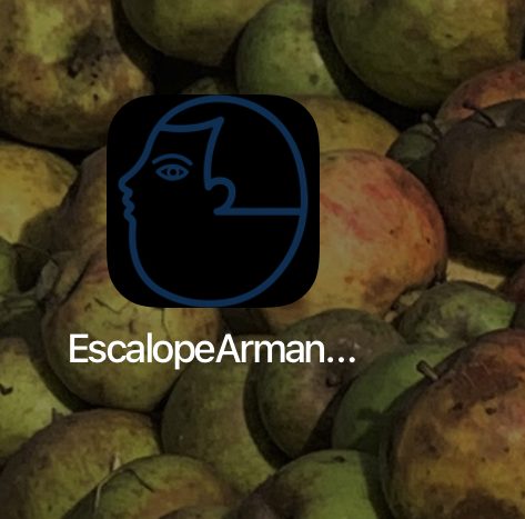 Desktop of our smartphone