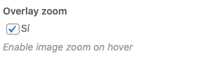Overlay zoom